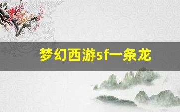 藏宝阁梦幻西游：梦幻西游sf一条龙 (5