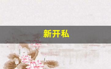 <strong>新开私 (8)</strong>