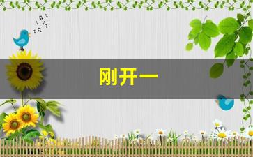 <strong>私服梦幻西游：刚开一 (4)</strong>