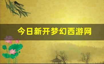 今日新开梦幻西游网 (7)