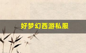 好梦幻西游私服 (7)