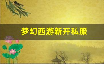 <strong>私服梦幻西游网站：梦幻西游新开私服 (2</strong>