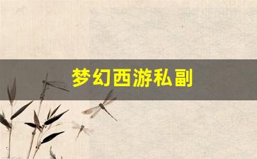 梦幻西游私副 (11)