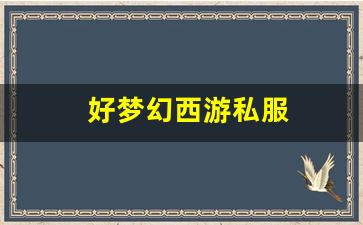 好梦幻西游私服 (4)