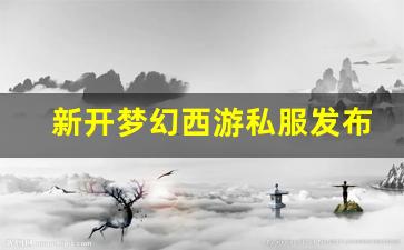 新开梦幻西游私服发布网 (2)