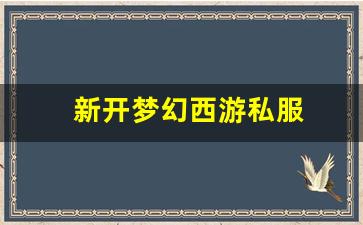 新开梦幻西游私服(梦幻西游手游吧) (1