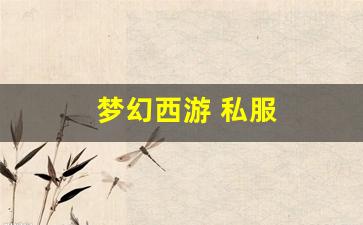 新开梦幻西游发布网：梦幻西游 私服(梦幻