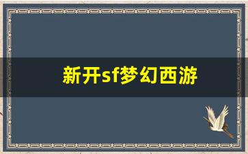 新开sf梦幻西游(梦幻西游电脑版sf发布