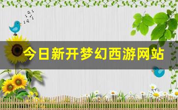 今日新开梦幻西游网站(今日新开梦幻西游网