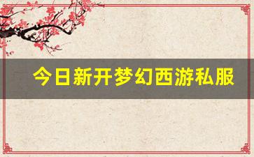 今日新开梦幻西游私服(梦幻西游手游吧) 