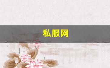 私服网(手游私sf平台) (5)