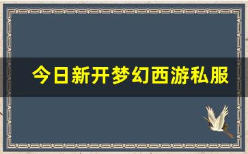 <strong>今日新开梦幻西游私服(梦幻西游手游吧) </strong>