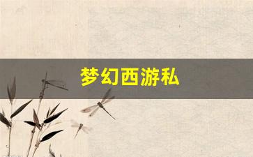 梦幻西游私(梦幻西游私sf发布网) (3