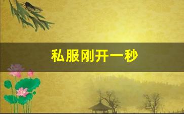 梦幻西游发布网站：私服刚开一秒(新区刚开