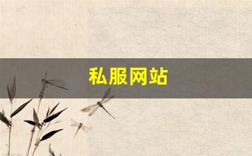 私服网站(传奇新开服网站大全)