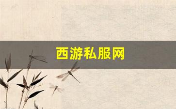 私服梦幻西游：西游私服网(西游公益服) 