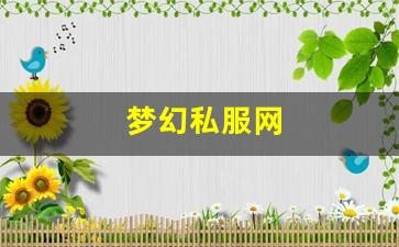 梦幻私服网 (11)