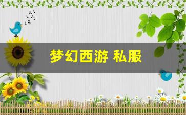 梦幻西游怀旧版sf：梦幻西游 私服(梦幻
