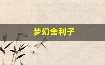 梦幻舍利子(梦幻舍利子多少钱一粒) (1