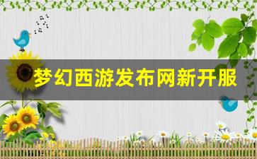 梦幻西游发布网新开服(梦幻西游发布网新开
