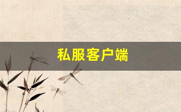 私服客户端 (13)