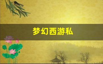 梦幻西游私(梦幻西游互通版官网)