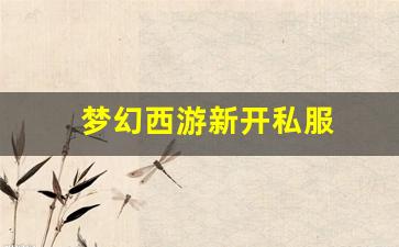 私服客户端：梦幻西游新开私服 (7)